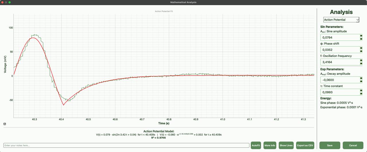 Action Potential Model