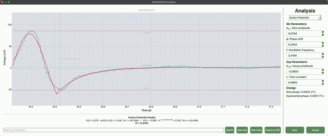 Action Potential Model